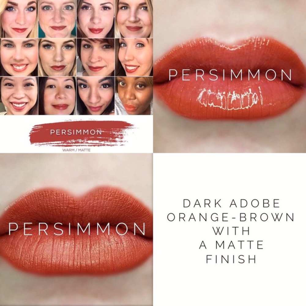 LipSense liquid lip color PERSIMMON